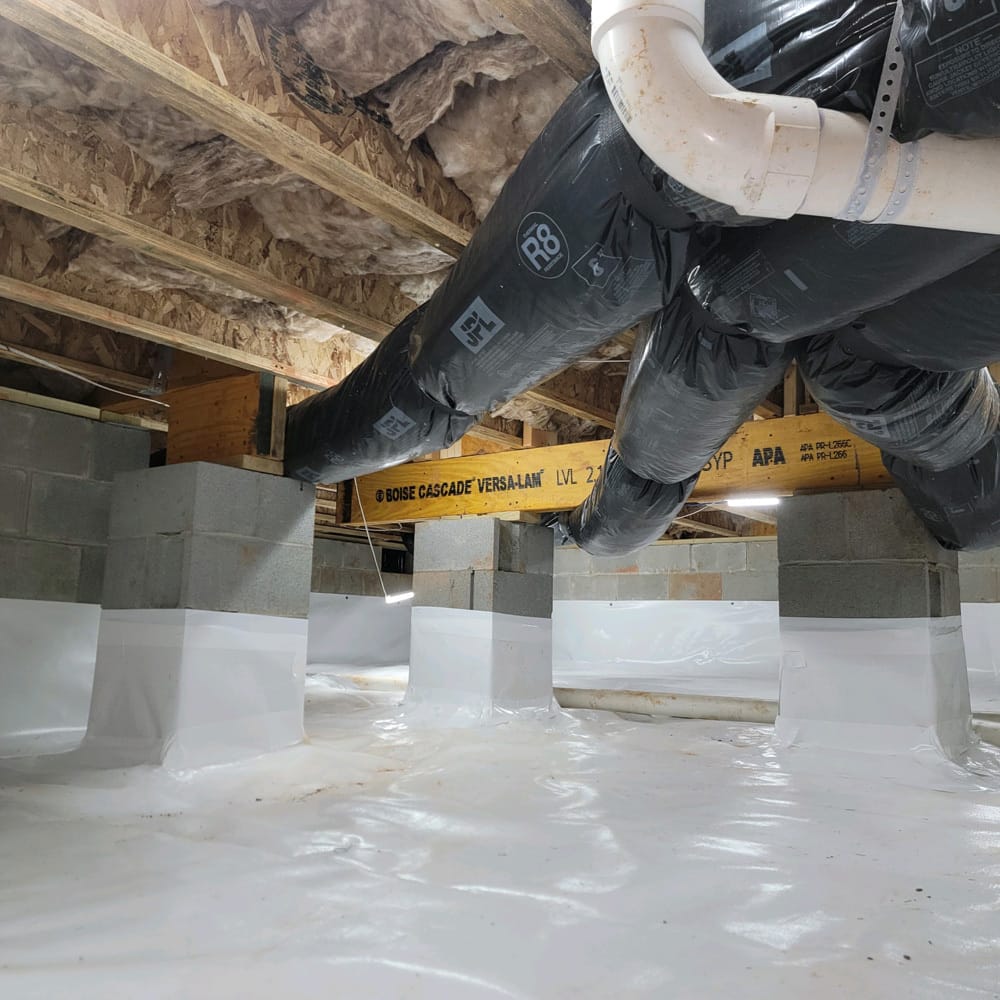 crawl space encapsulation cost