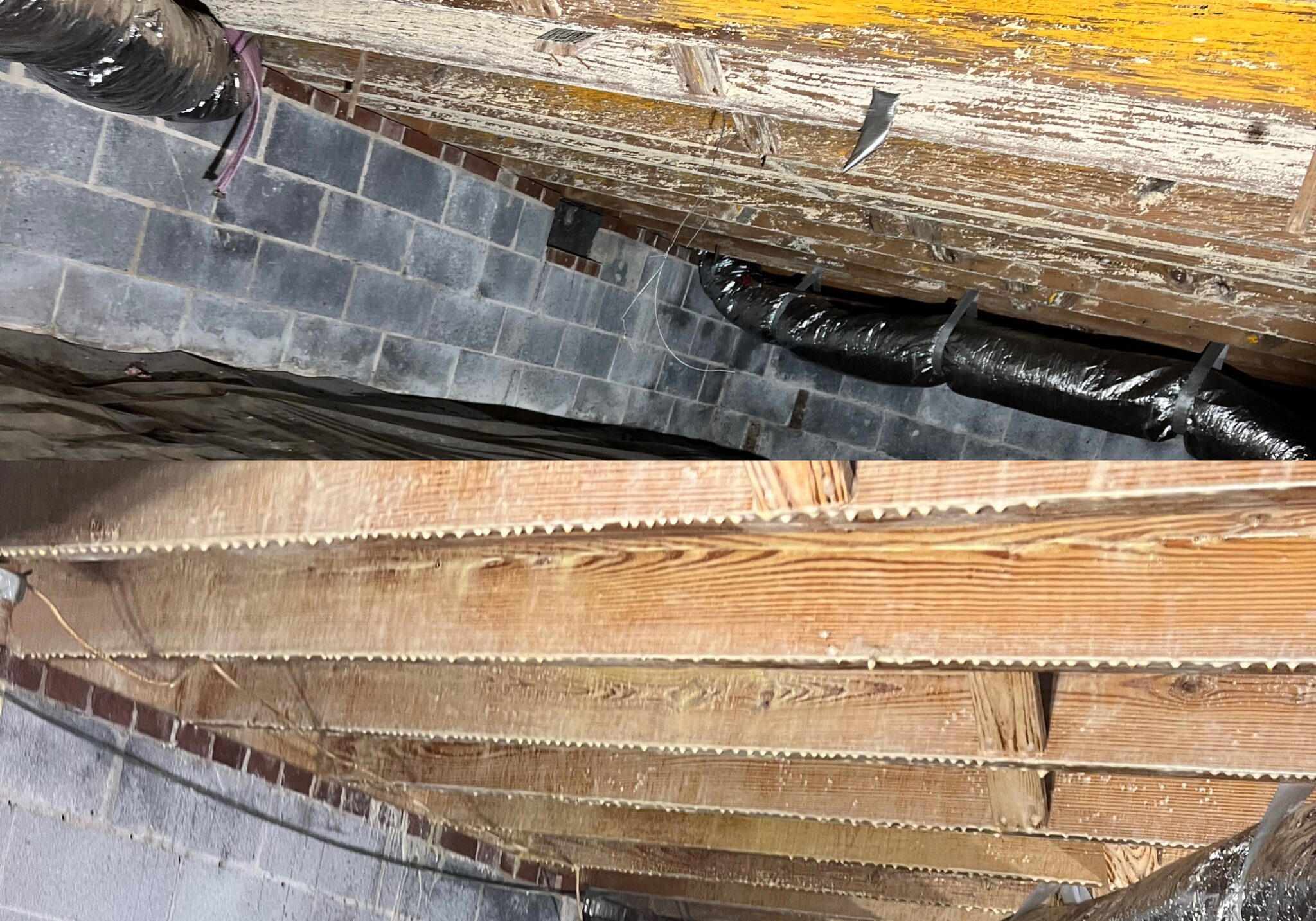 mold remediation mold remediation